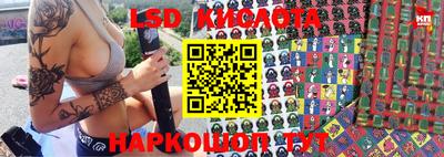 крисы Будённовск
