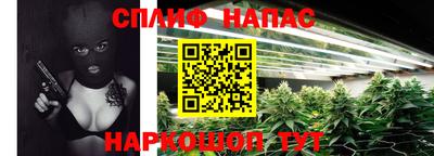 крисы Будённовск