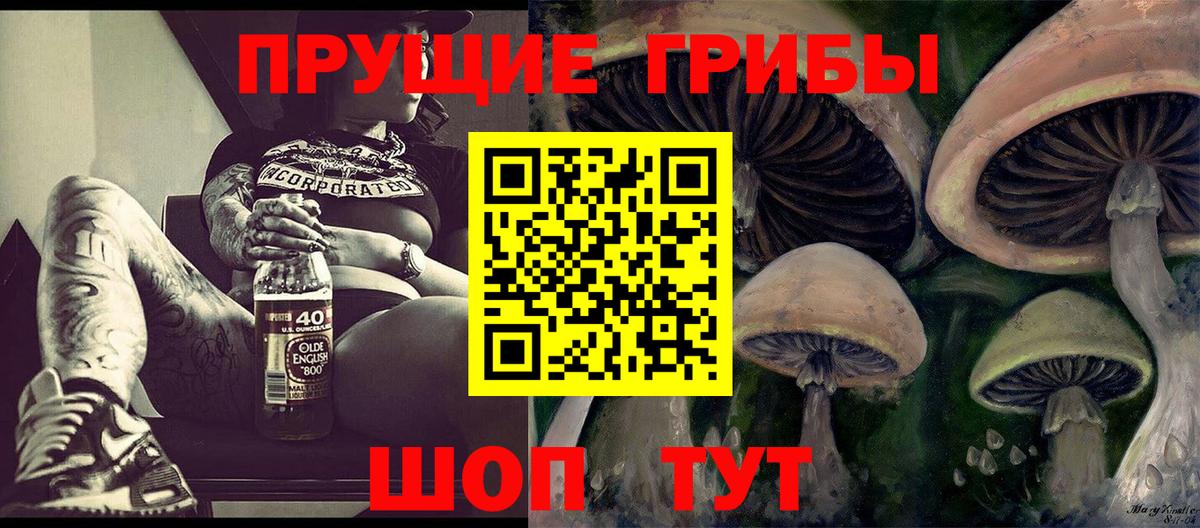 Псилоцибиновые грибы MAGIC MUSHROOMS  Вход с VPN  Благовещенск 